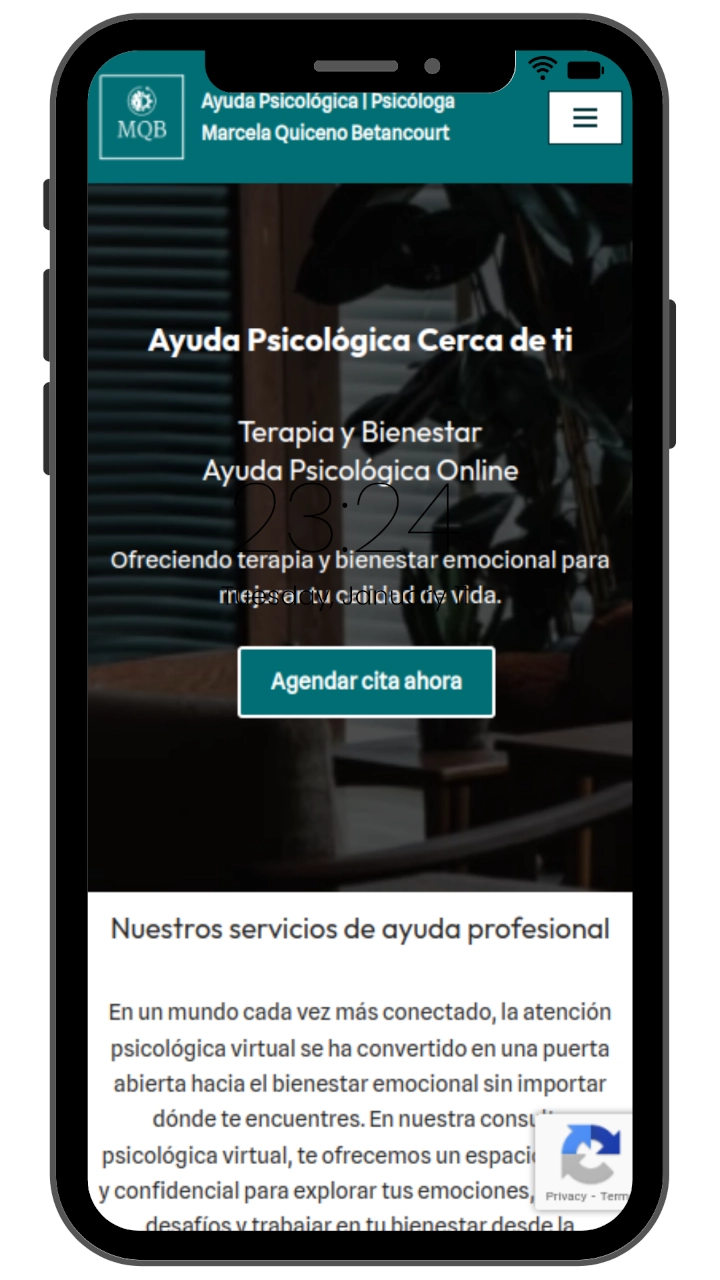 servicios de diseño y desarrollo web y consultoria seo